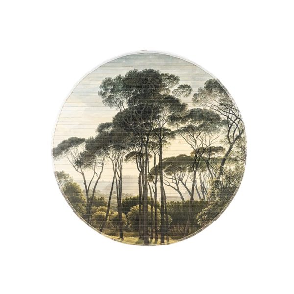 By Boo Morita Jungle small